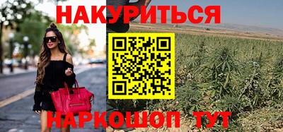 a pvp Новозыбков