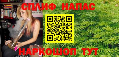 a pvp Новозыбков
