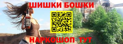 a pvp Новозыбков