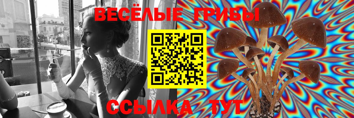 Удомля  Псилоцибиновые грибы Magic Shrooms  Вход с VPN 