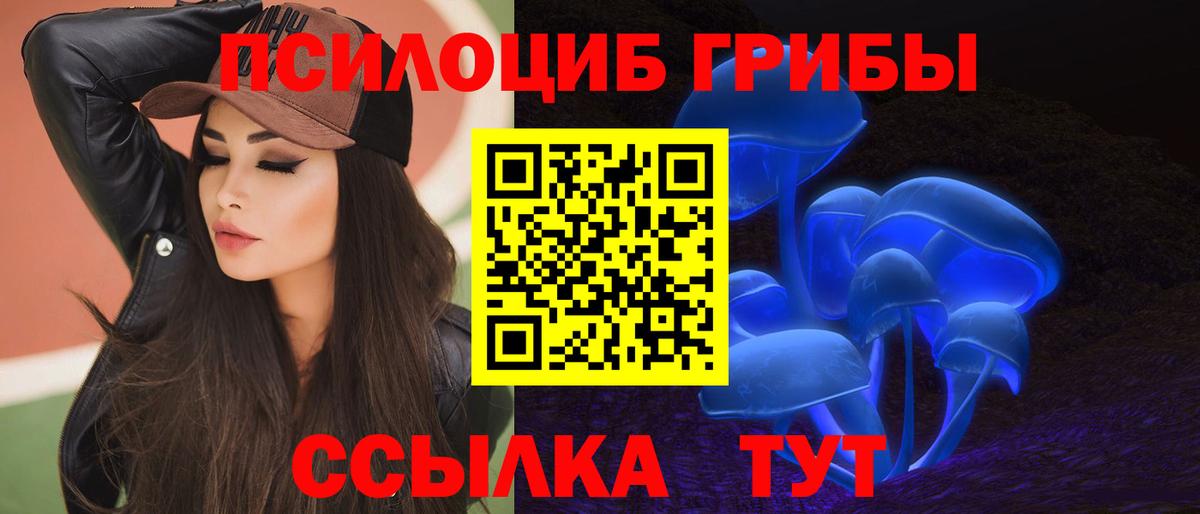 Псилоцибиновые грибы GOLDEN TEACHER Удомля